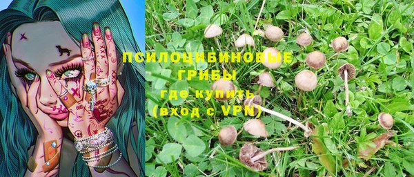амфетамин Белокуриха