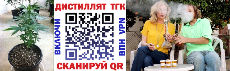 ссылка на мегу вход  закладки  Шумиха  Дистиллят ТГК концентрат 
