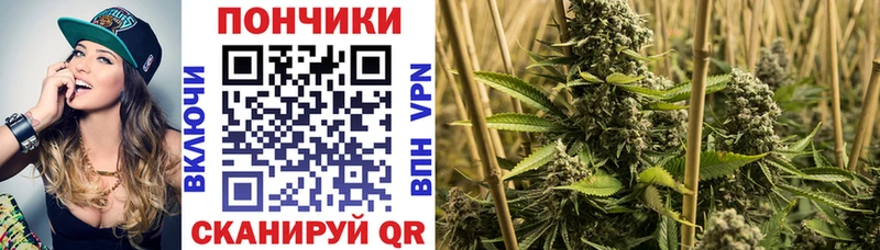Бошки марихуана AK-47  наркотики  Шумиха 